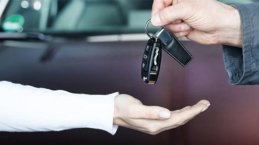teaser-hol-bring-service-470x264